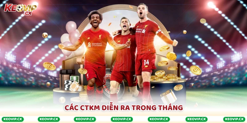Các CTKM diễn ra trong tháng