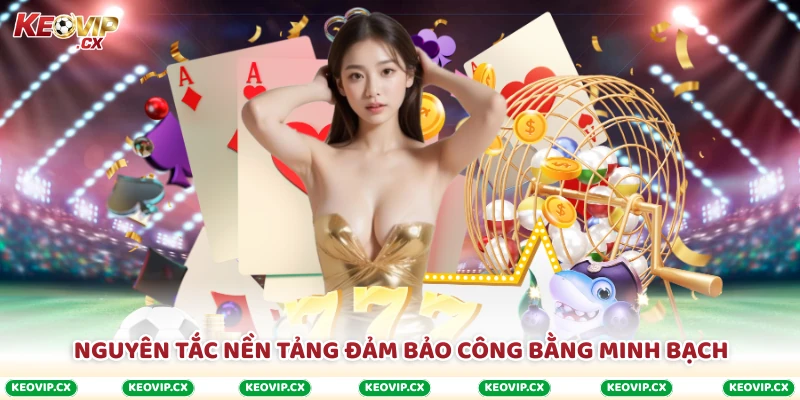 Nguyên tắc nền tảng đảm bảo công bằng minh bạch