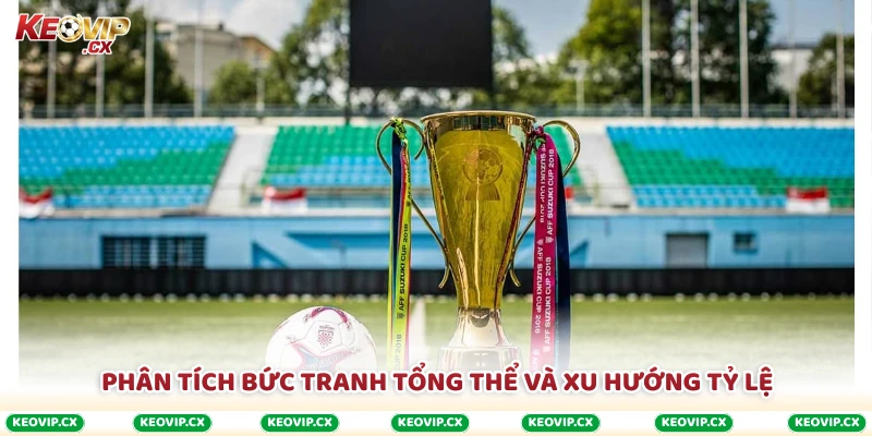 Phân tích bức tranh tổng thể và xu hướng tỷ lệ